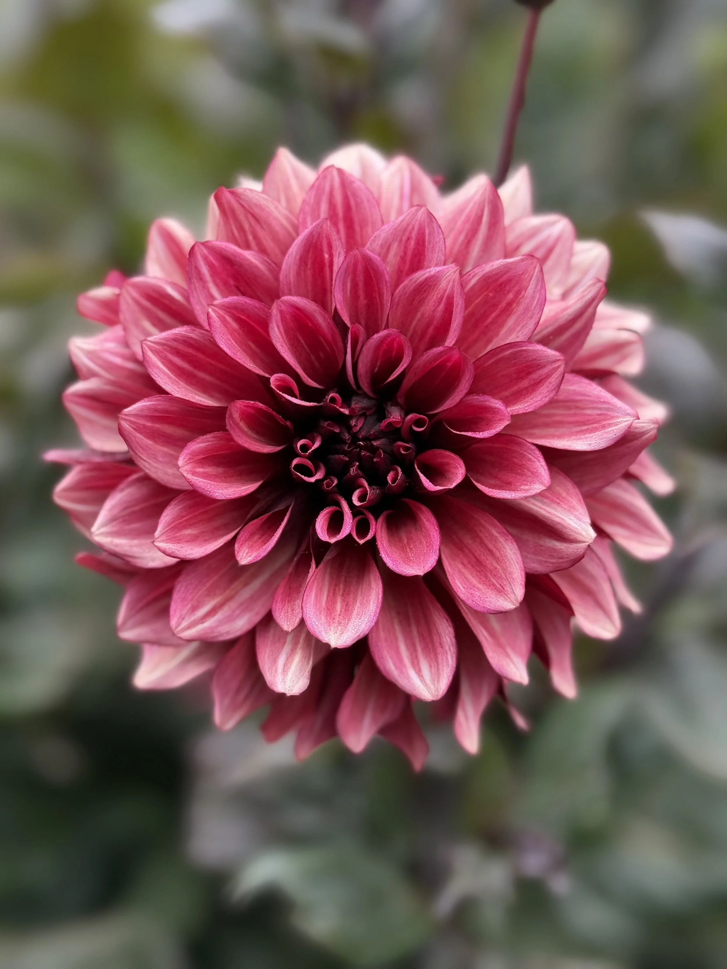 Night Silence 4.jpeg