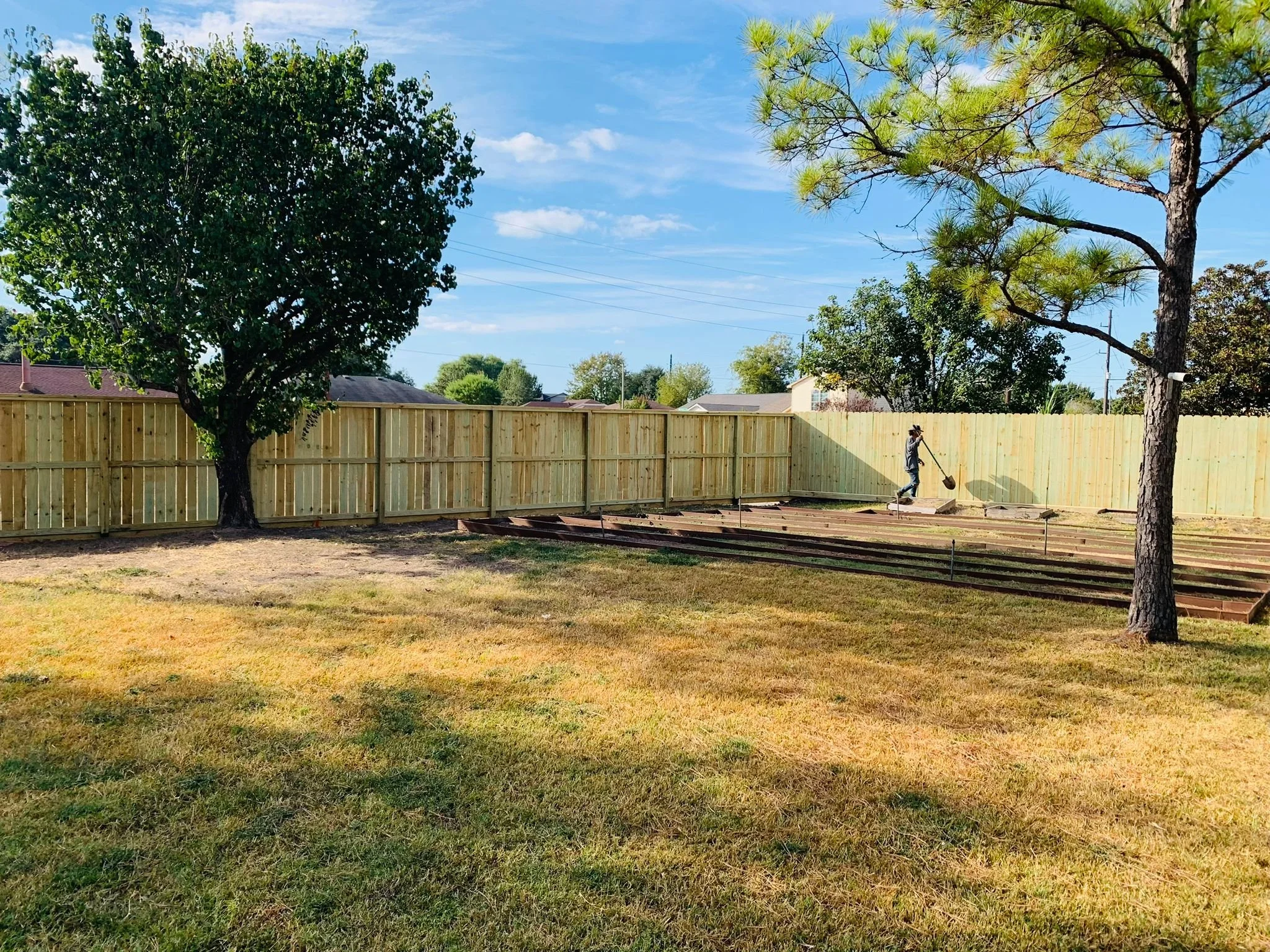 A backyard with brown grass, two large trees, a wooden fence, and a person working on a garden bed with a shovel.