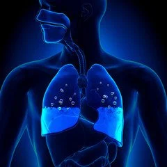 Theory B: Physiology