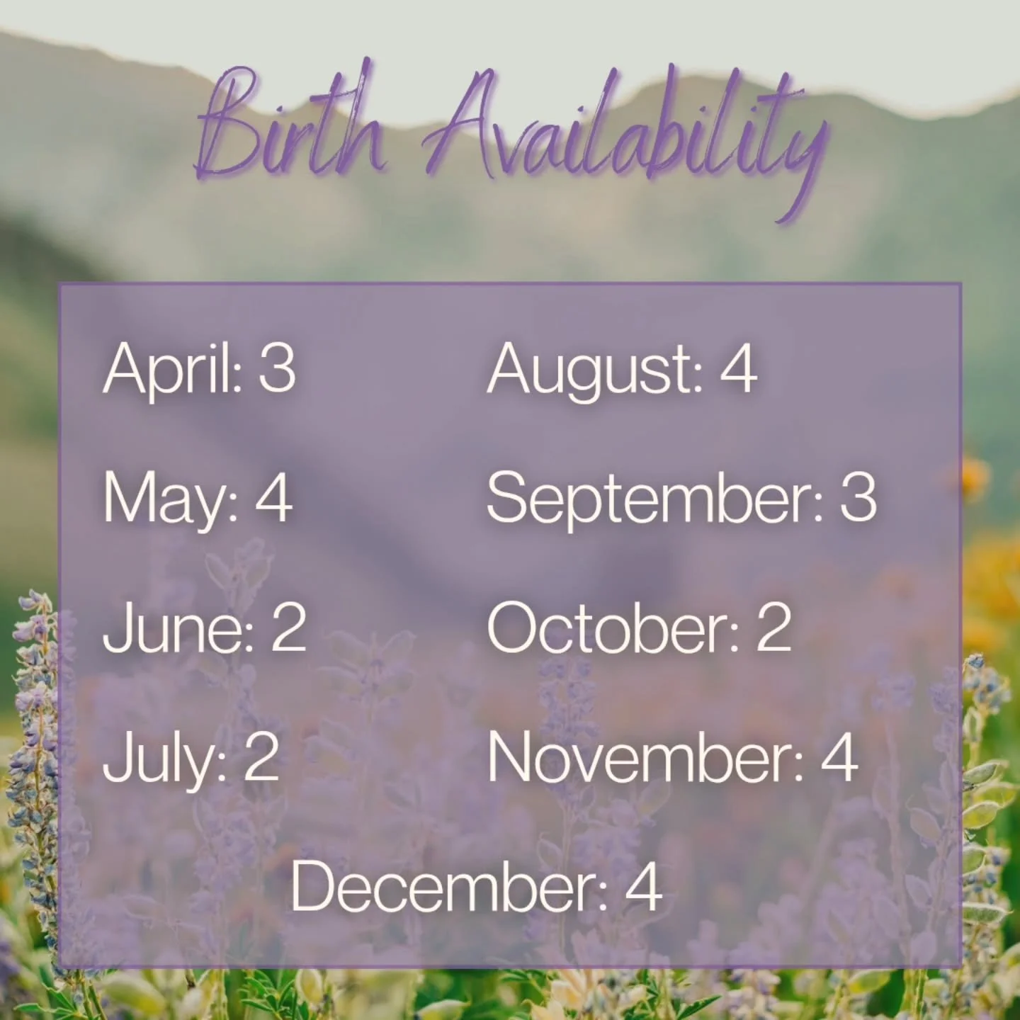Book a free consultation! ✨️ 
I still have availability for the rest of the year, and if you book with me in March or April, I'm offering a 15% discount on the Birth and Prenatal Support Package.

#birthdoula #doulasupport #positivebirth #empoweredbi