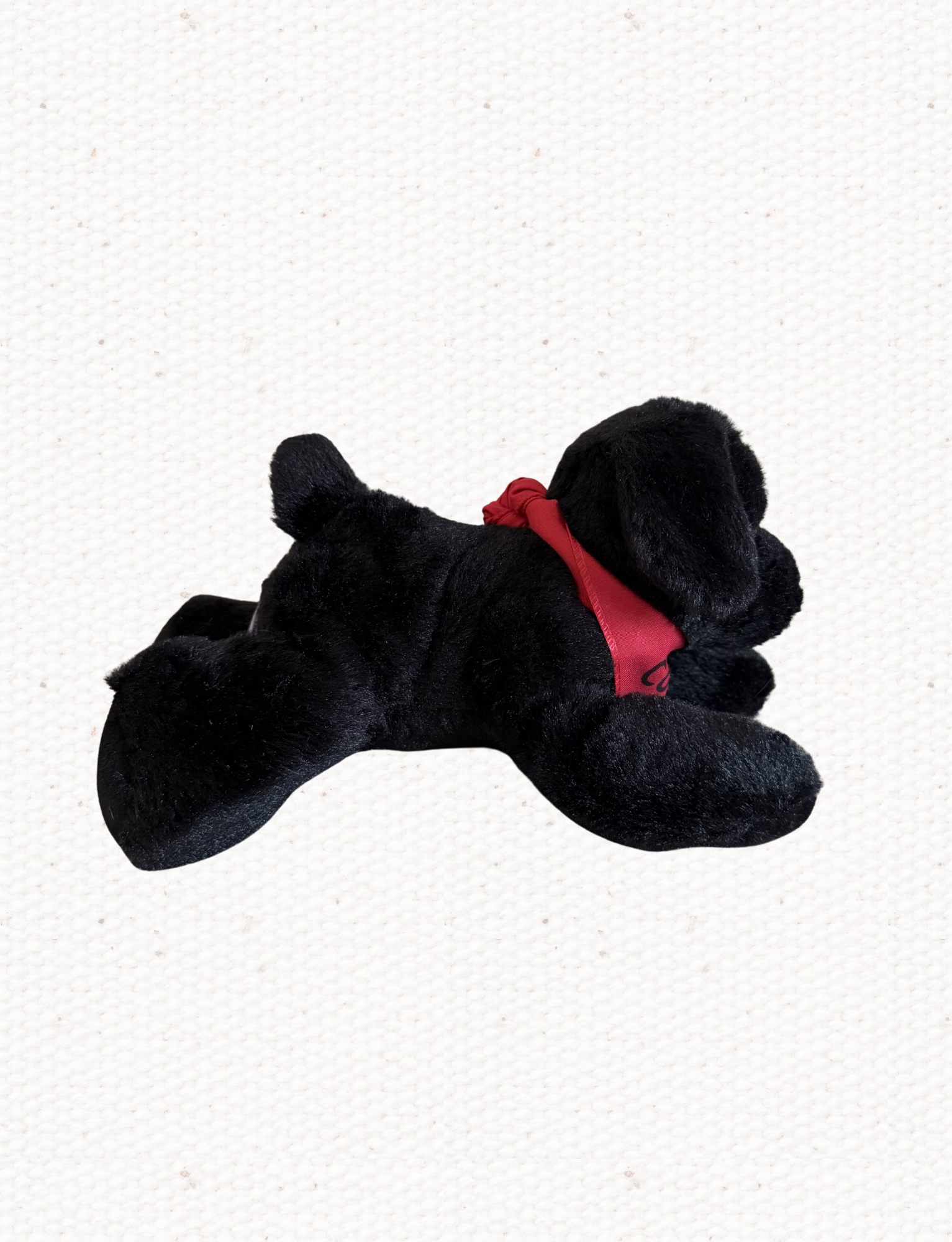 School Activity Sheets (10).png