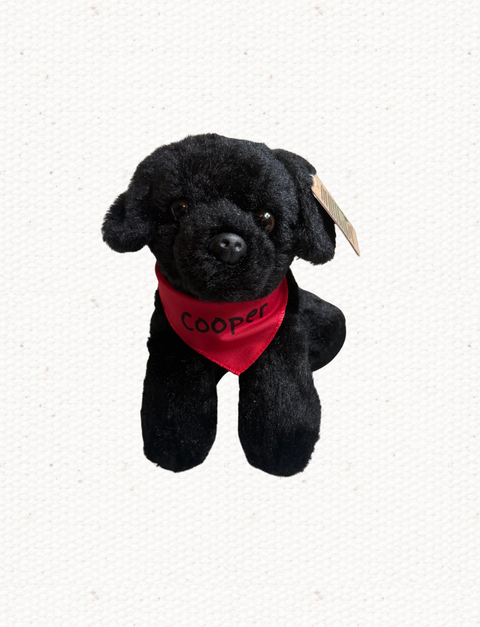 School Activity Sheets (8).png