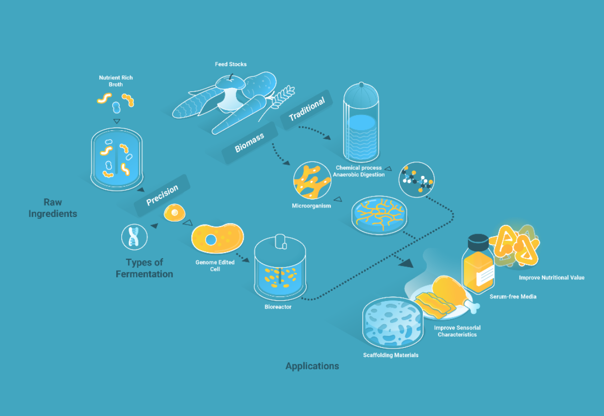 Seeking 10 Bold Researchers to Build the DERISC Food Fellowship