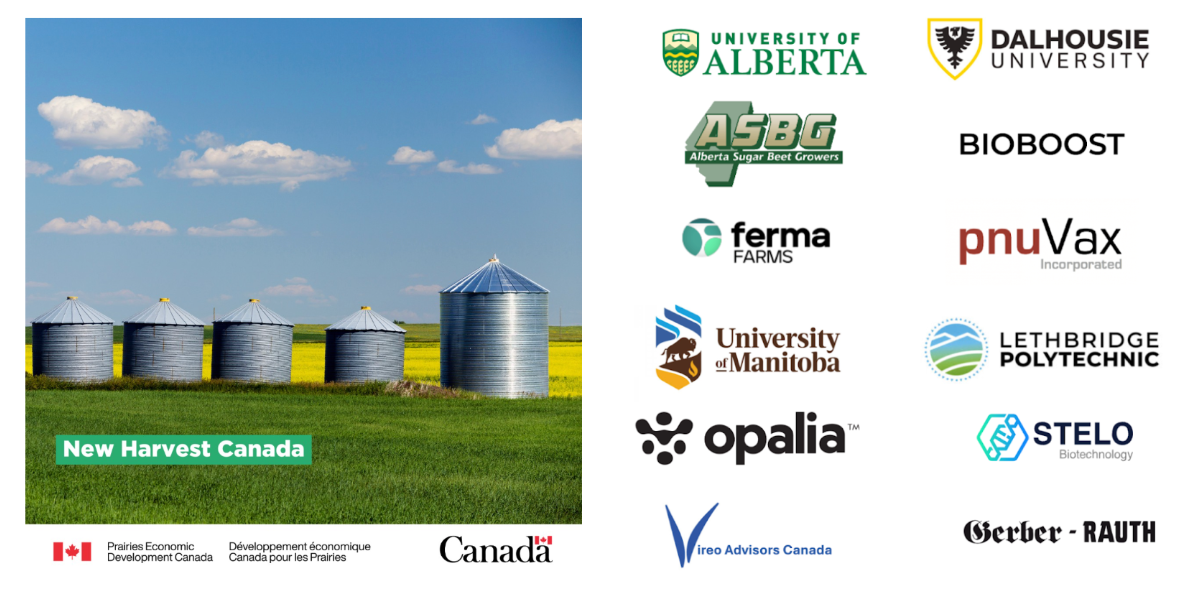 New Harvest Launches CAPE: A Game-Changing, Federally Funded Boost for Cellular Agriculture in the Canadian Prairies