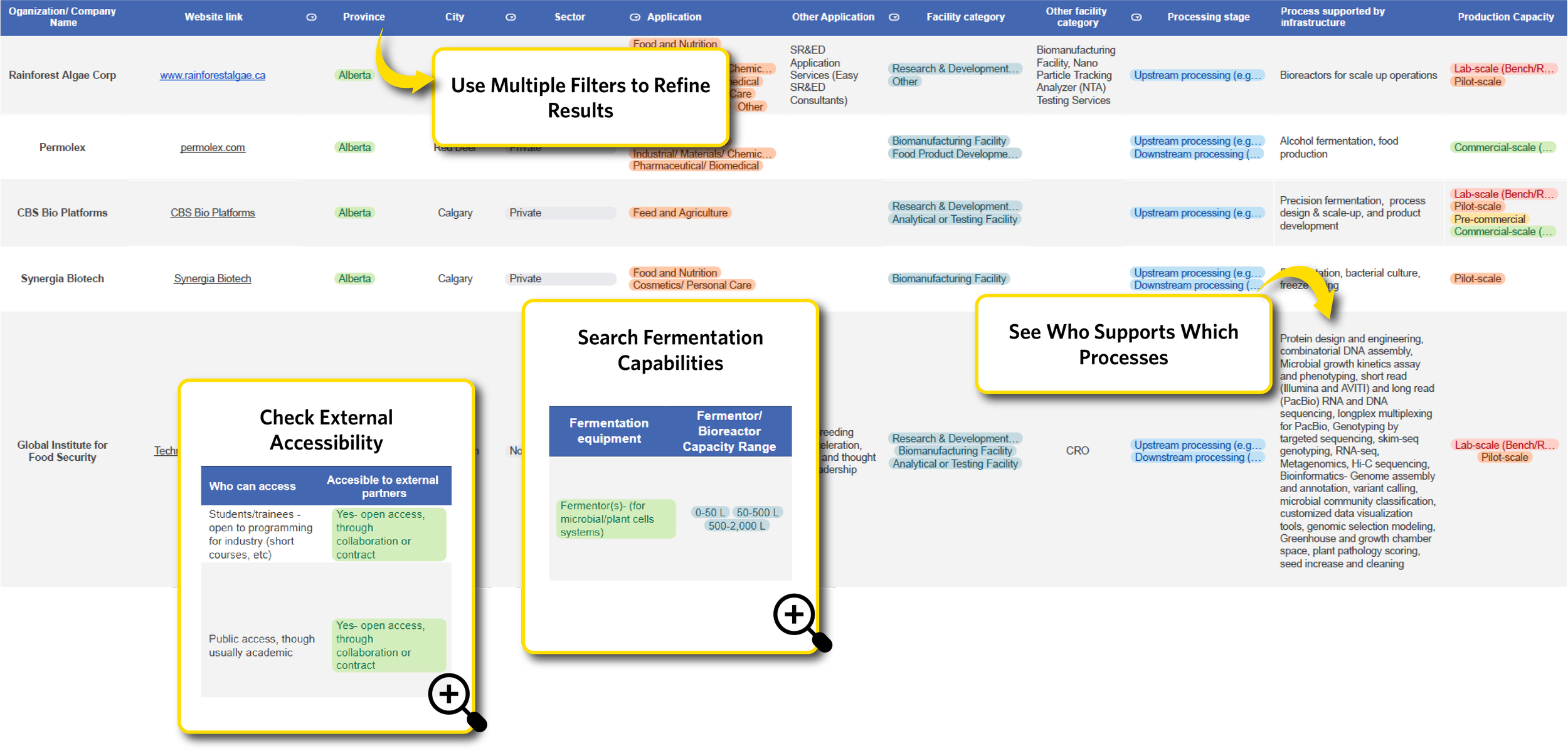 Launching the CAPE Infrastructure Directory!&nbsp;