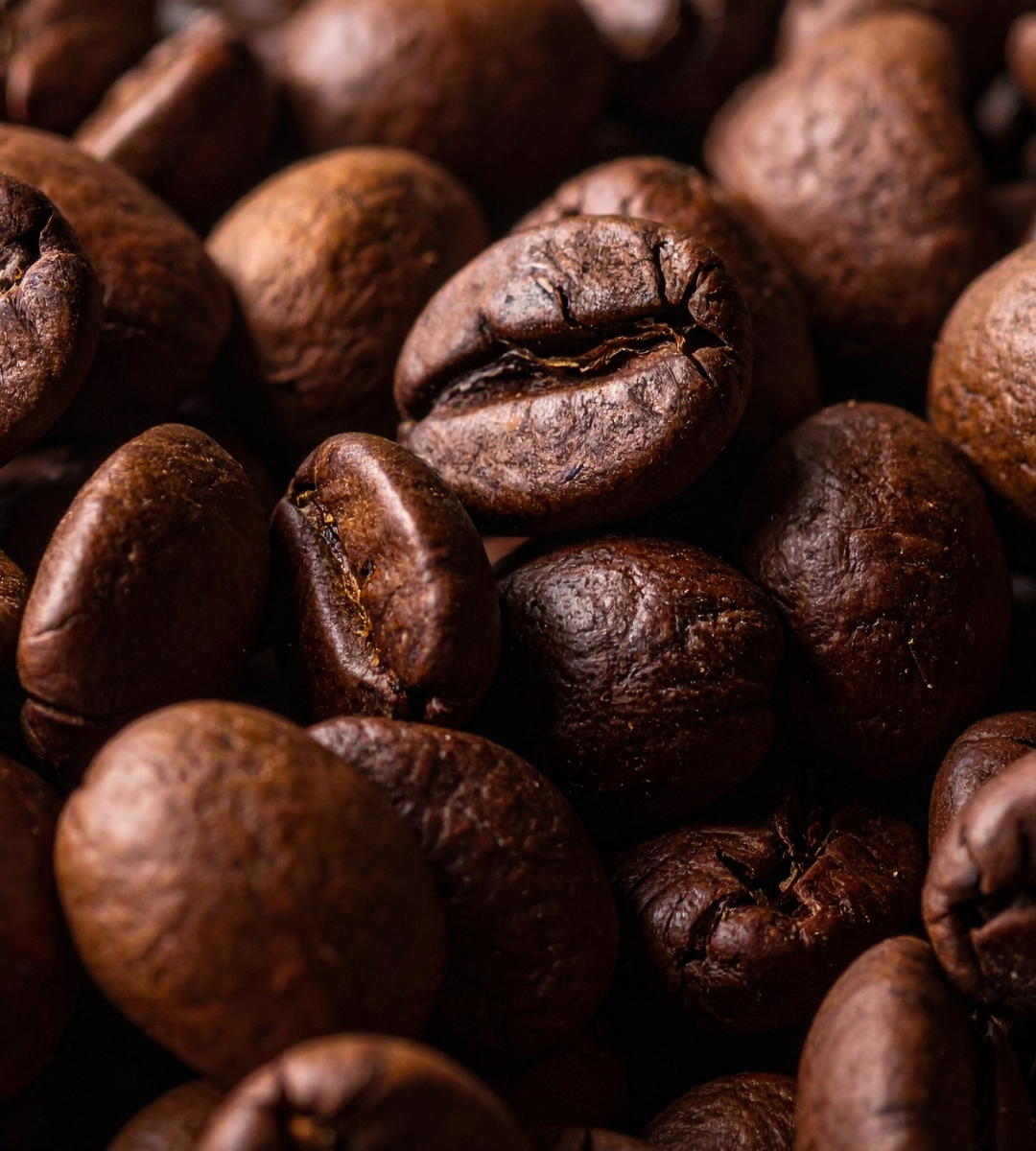 Blue Parrot Medium Blend | 2LB Beans