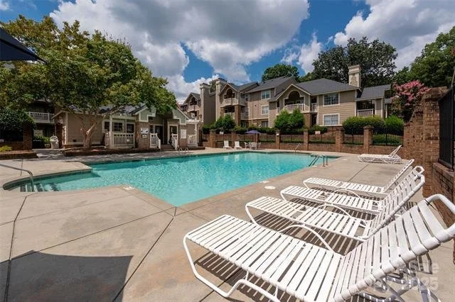 getimageonline 21.jpg