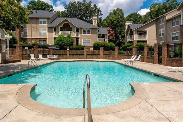 getimageonline 22.jpg