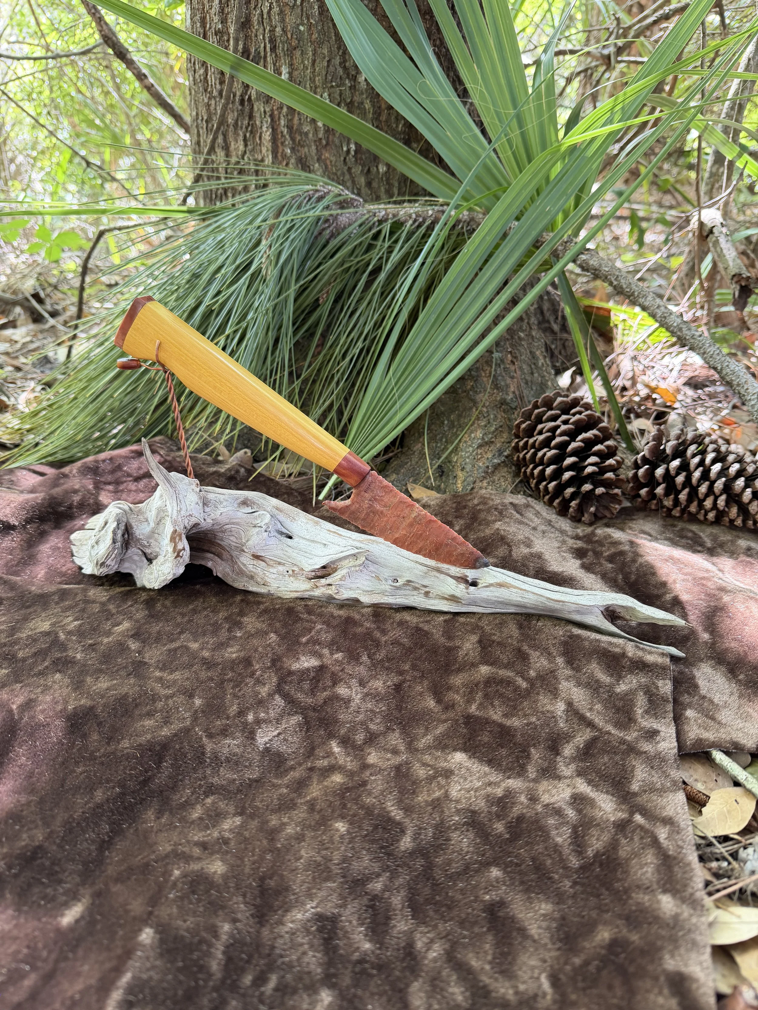 Florida Coral knife sculpture on Florida Red Cedar
