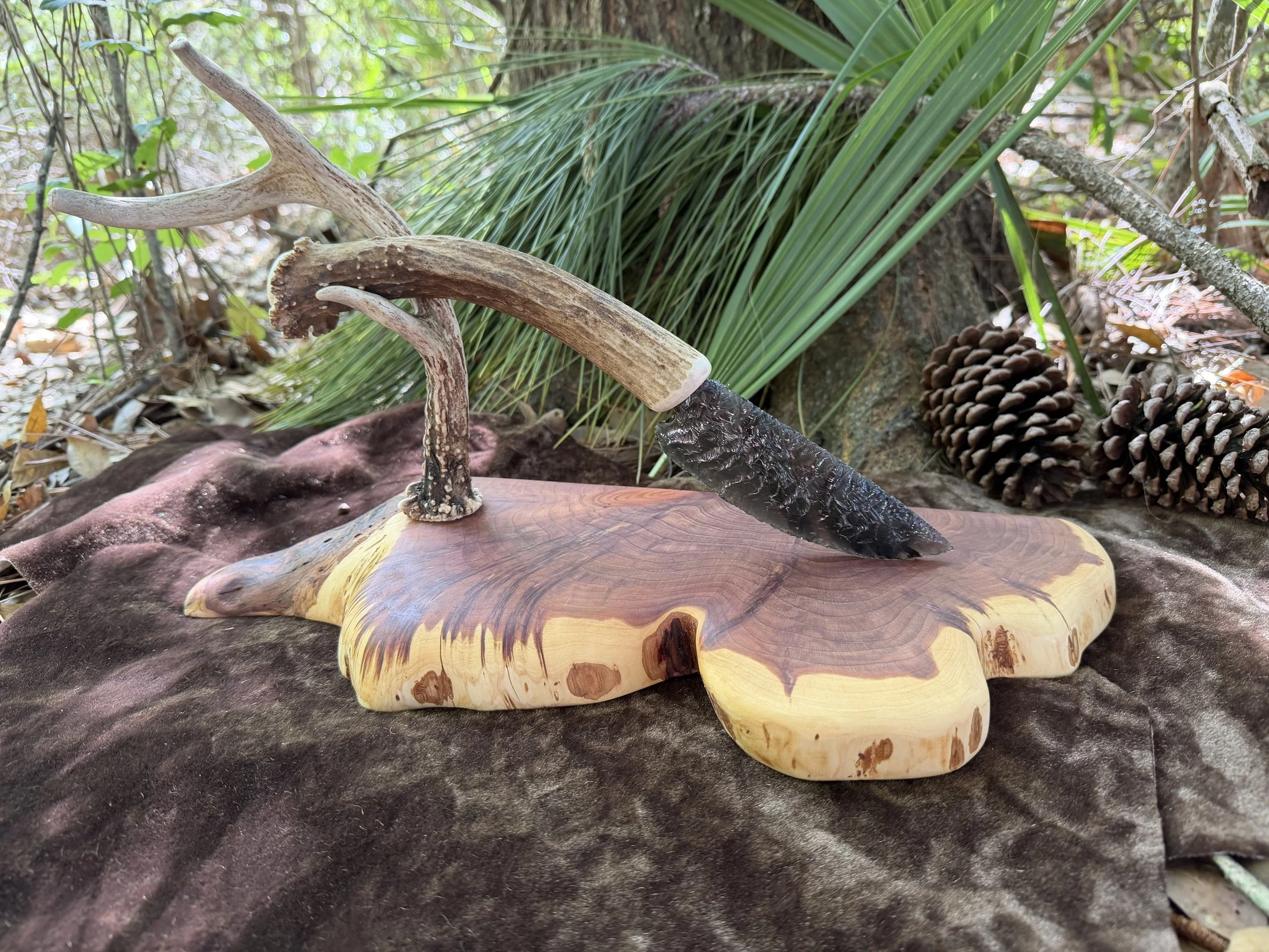 Gray Sheen Obsidian knife sculpture with antler handle on Florida Red Cedar