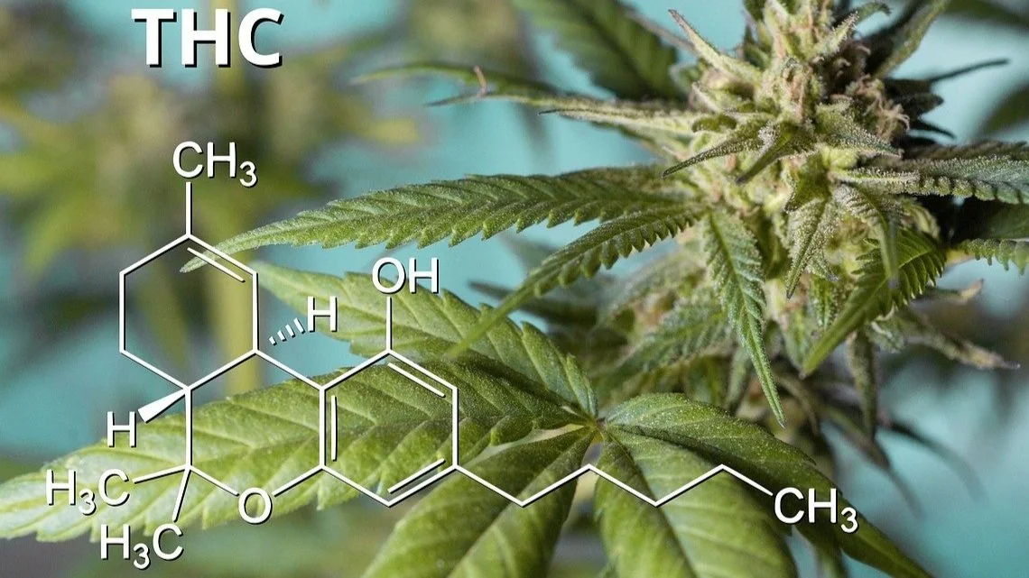 The Difference between CBD and THC