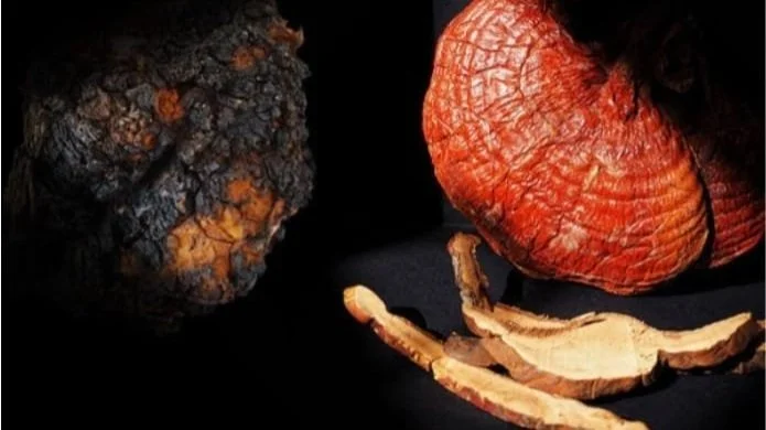 Immunity Boost: Mushrooms to the Rescue