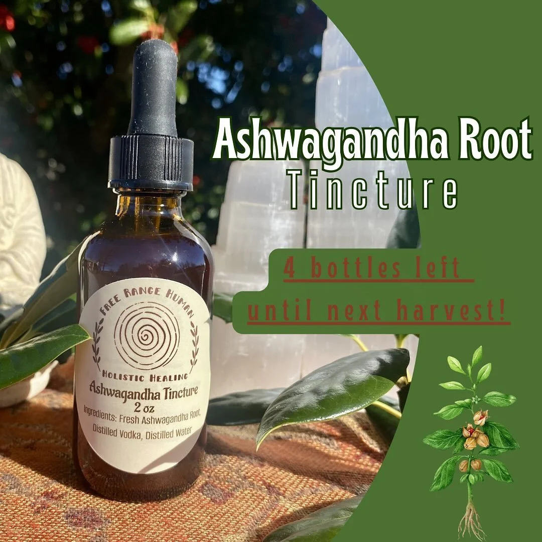 🚨 Low stock 🚨 

Only 4 bottles of this Grounding, Adaptogenic tonic left until next harvest, which will be later this year! If they do not go online over the next few days, I will have them with me this weekend. Feel free to out if you&rsquo;re int