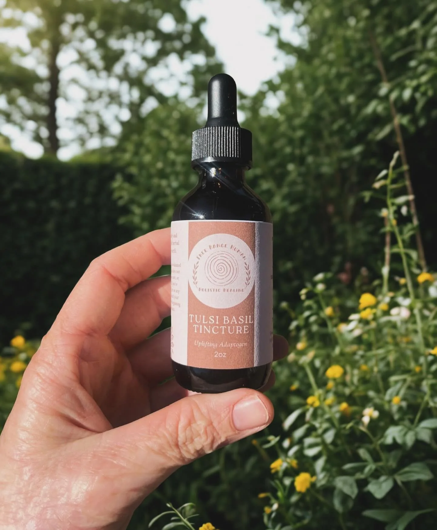 Just added Tulsi Basil Tincture to the online shop! This has to be one of my favorite medicinal herbs that I grew this year. Such a beautiful, fragrant herb. I offer this herb in select herbal teas, the Holy Rose body oil, and now - a tincture! 🌿

T