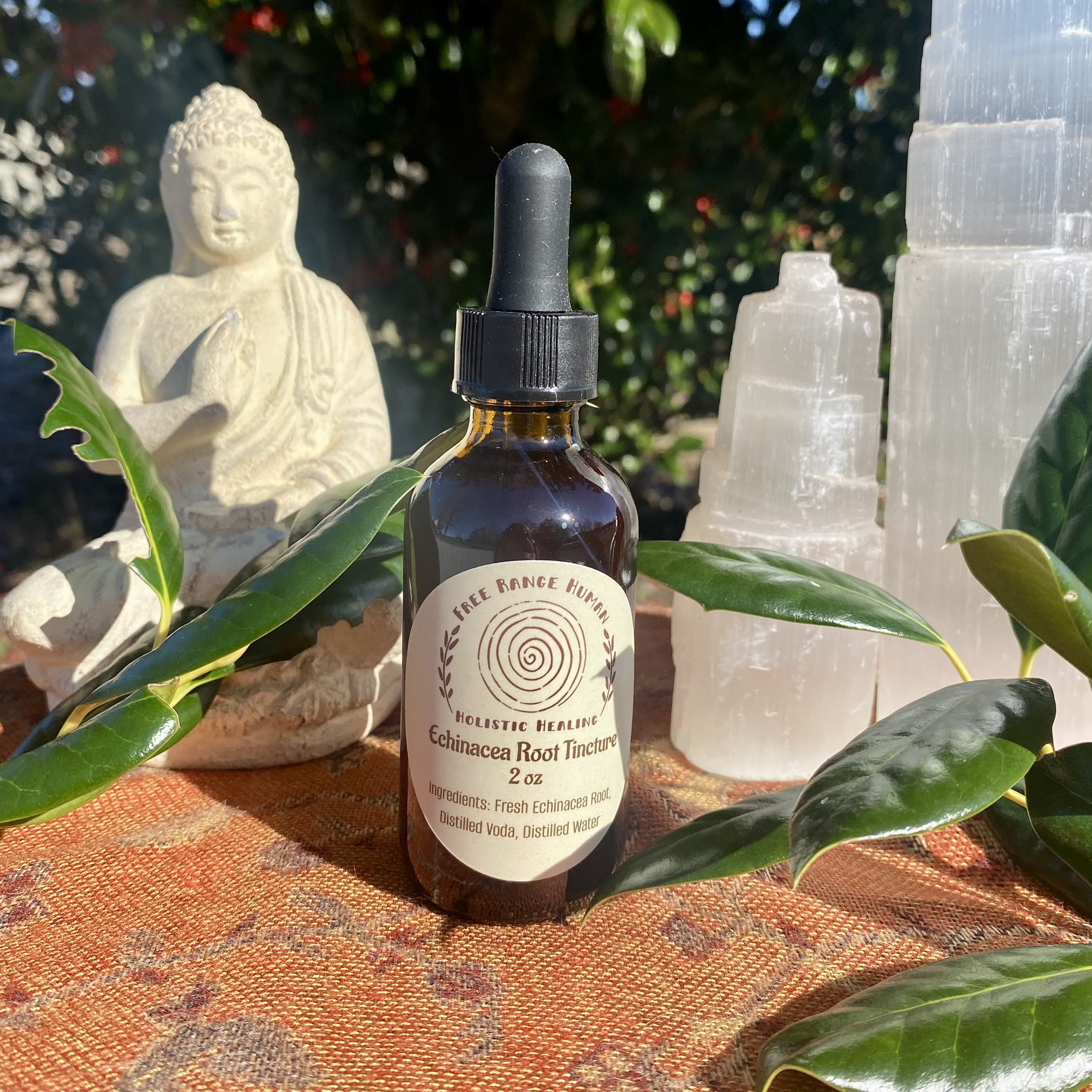 Echinacea Root Tincture