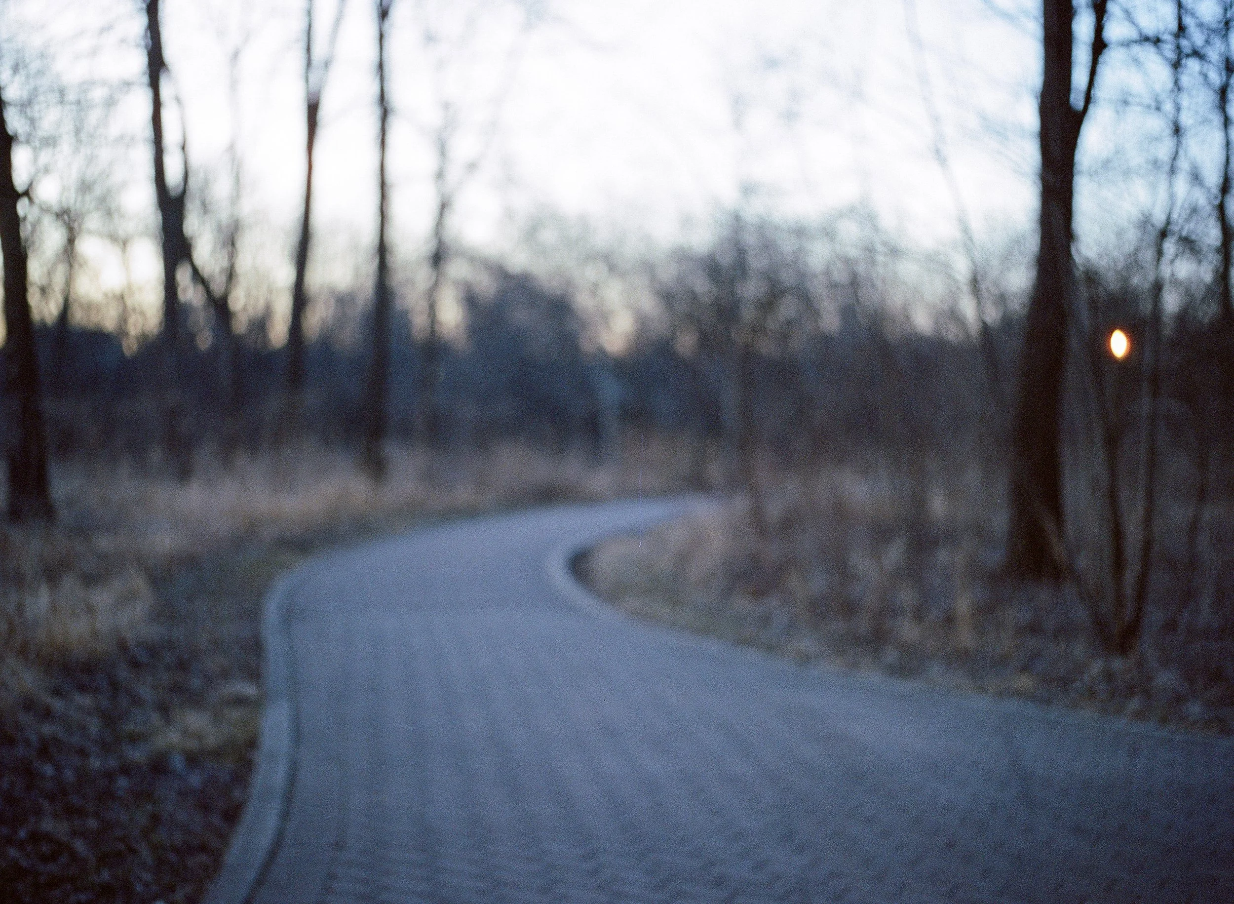 untitled-014-2.jpg