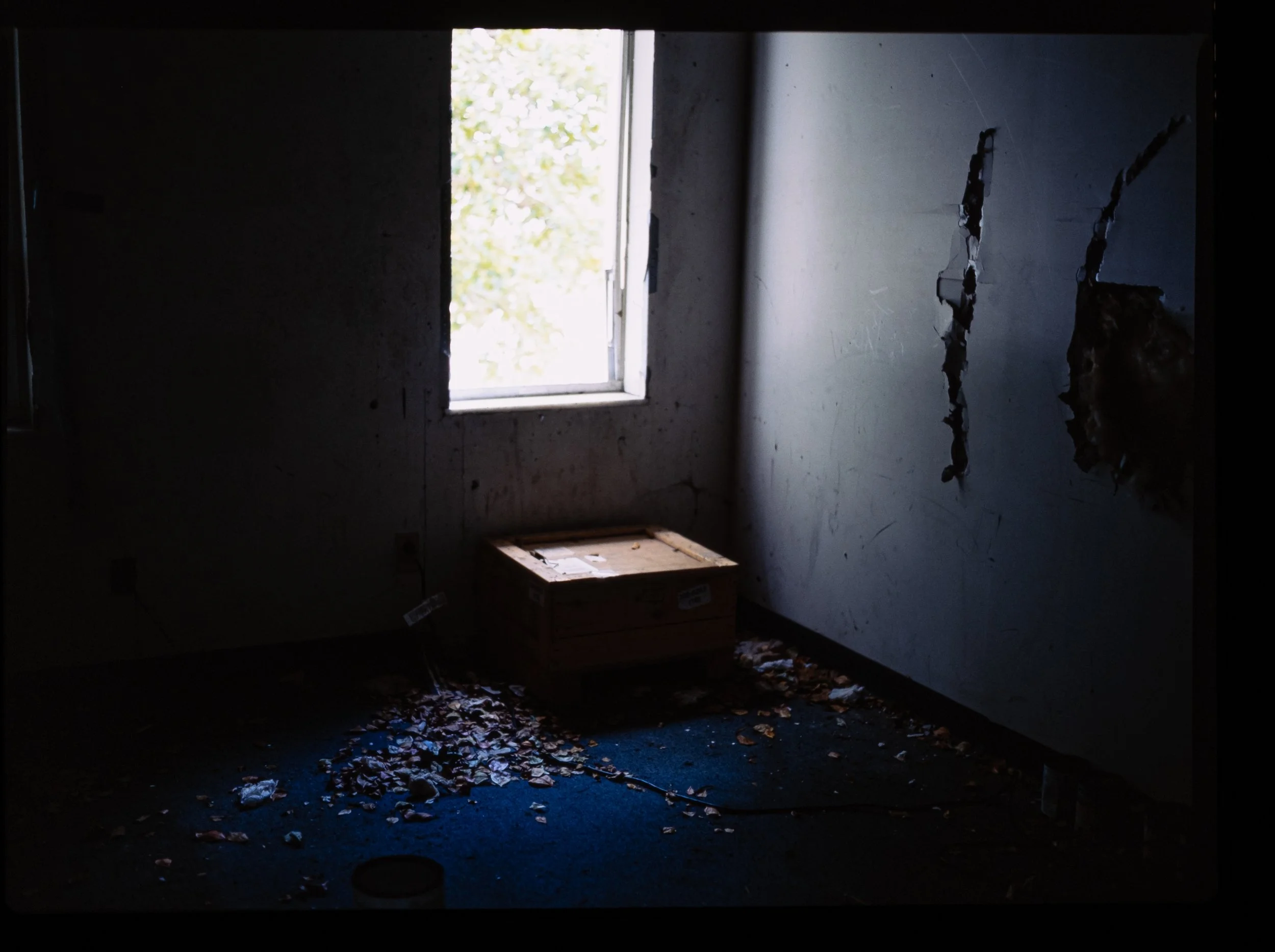 Ektachrome-3.jpg