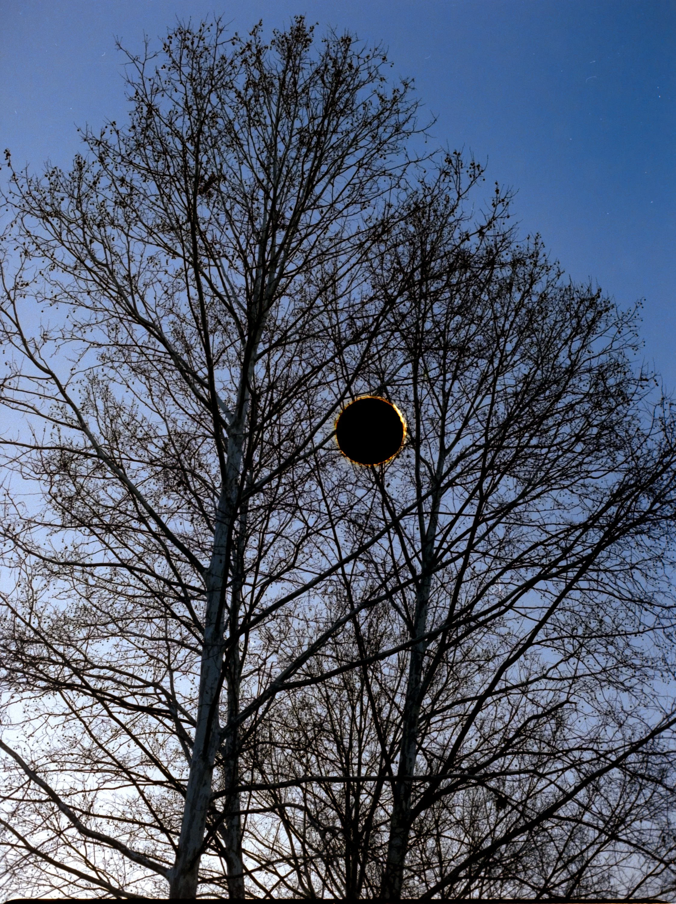 untitled-2543.jpg