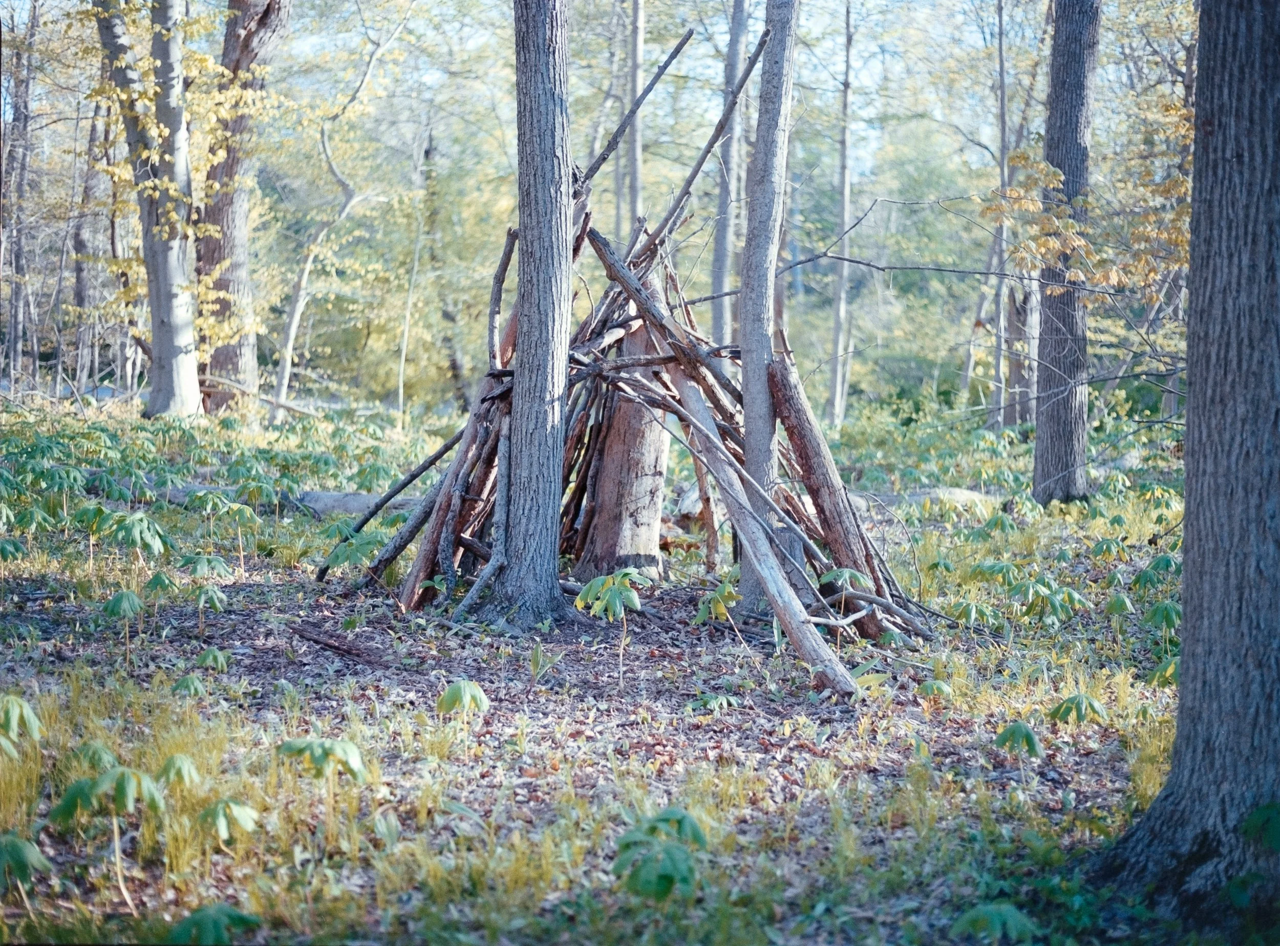 milwokee may-1.jpg