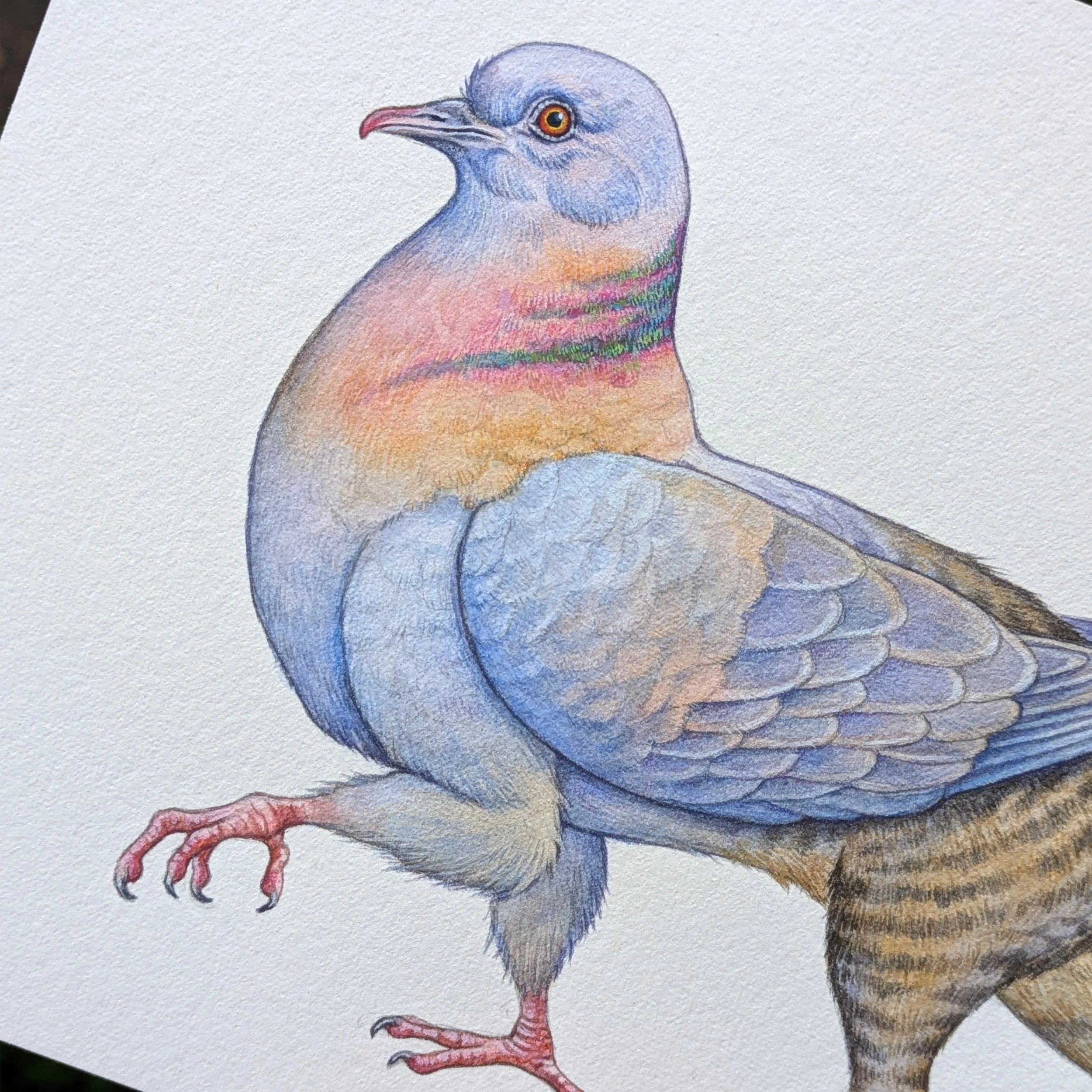 Original - The Griffish detail.jpg