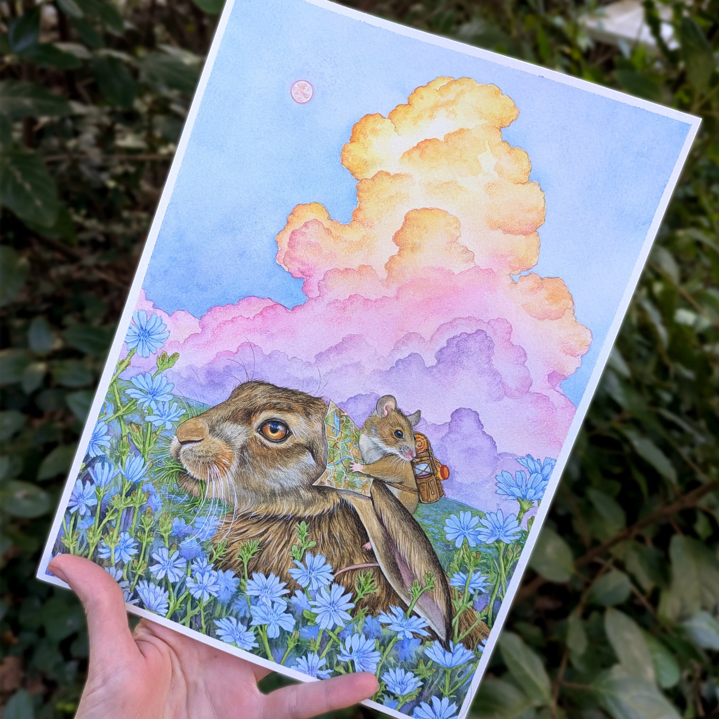 Original - Scenic Detour.jpg