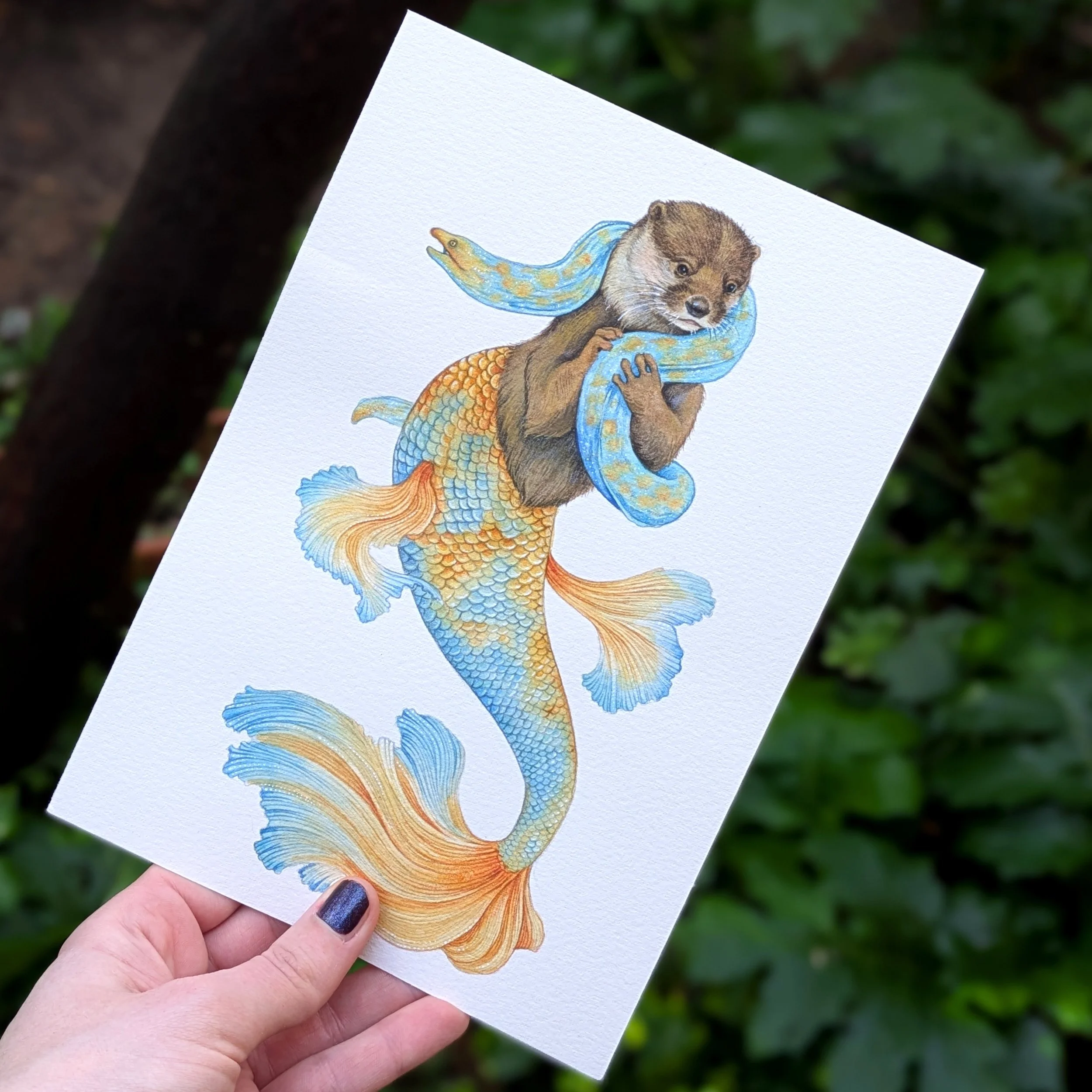 Original - The Otterdame.jpg