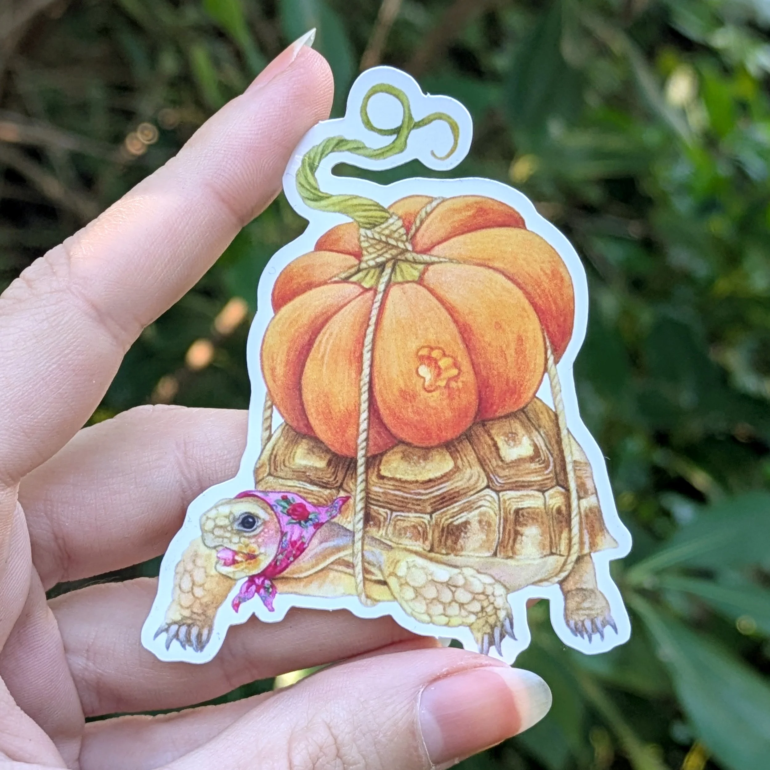 Sticker Pumpkin Tortoise 2.jpg