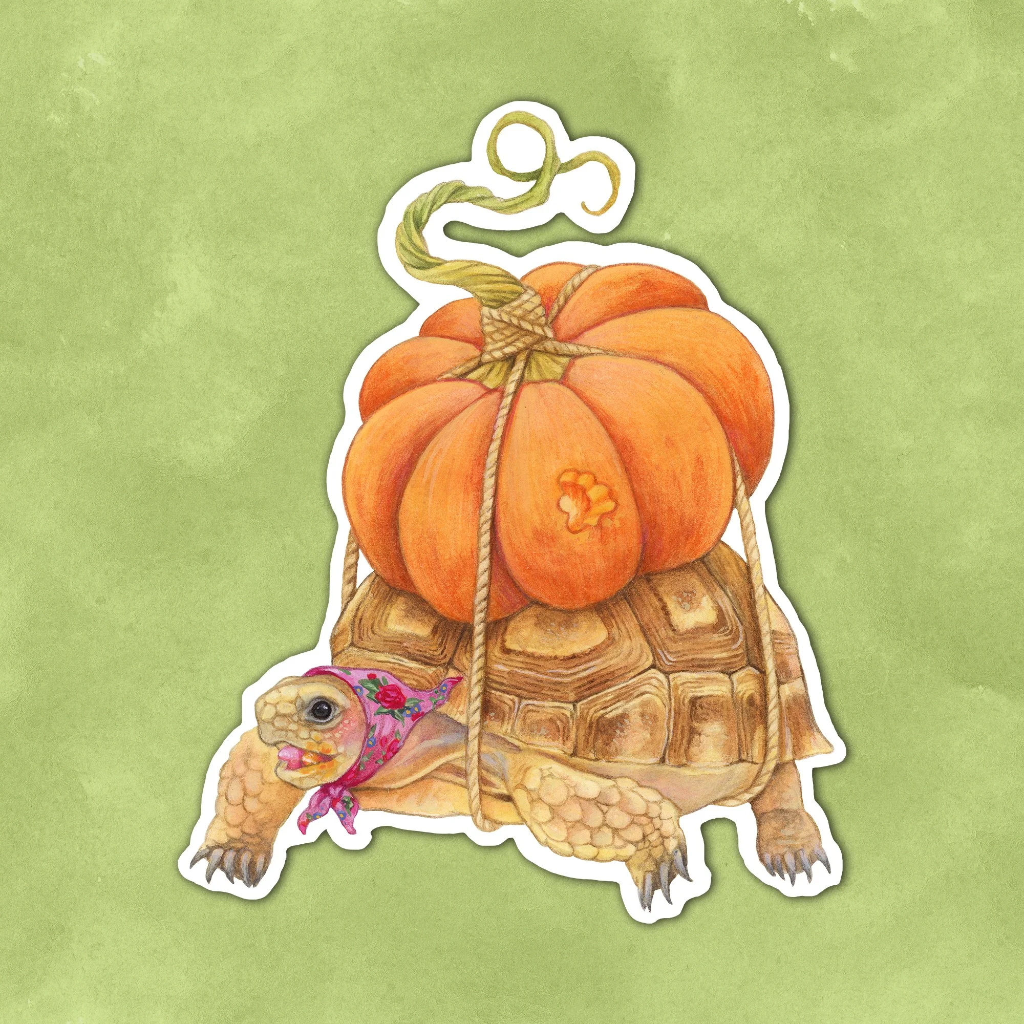Sticker Pumpkin Tortoise.jpg