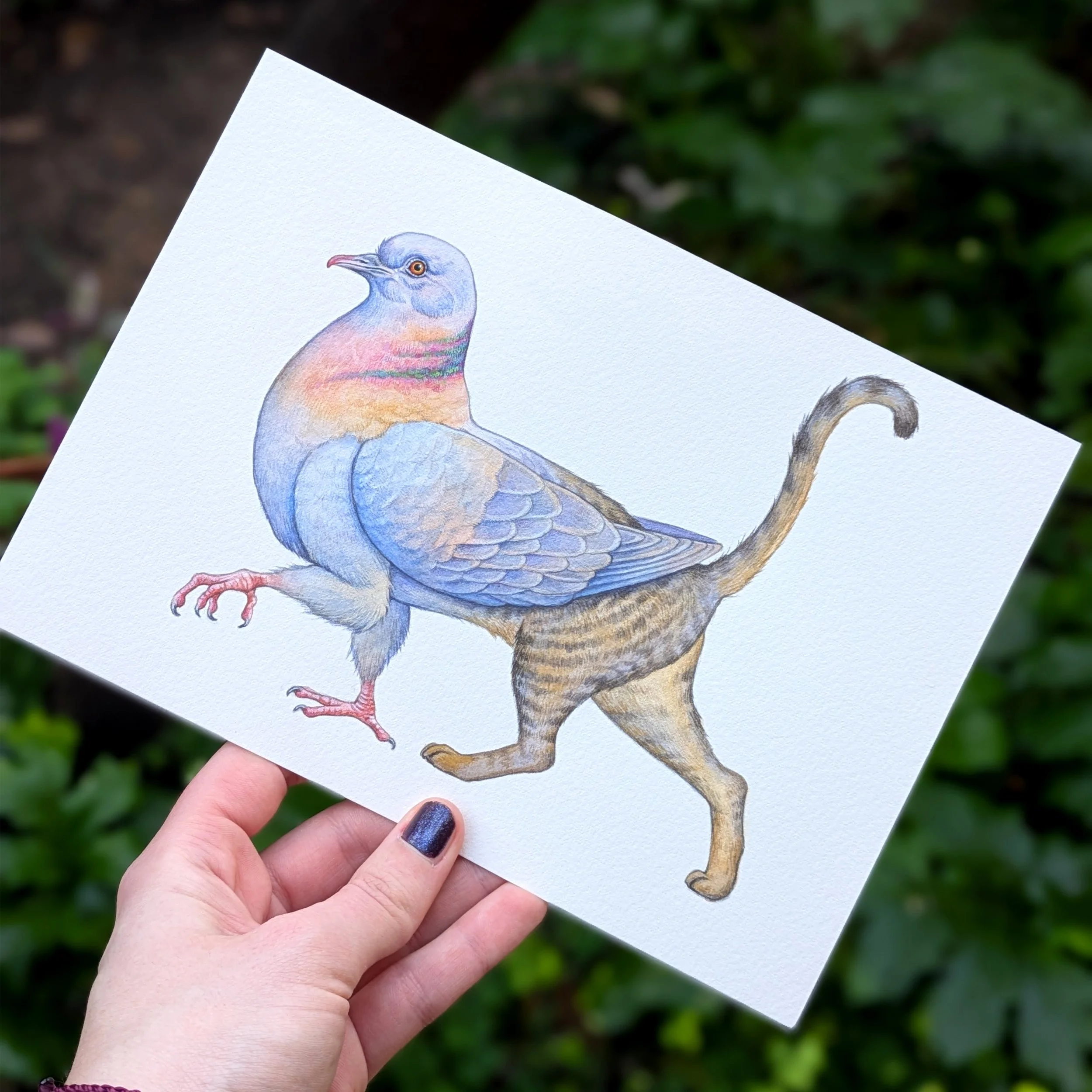 Original - The Griffish.jpg