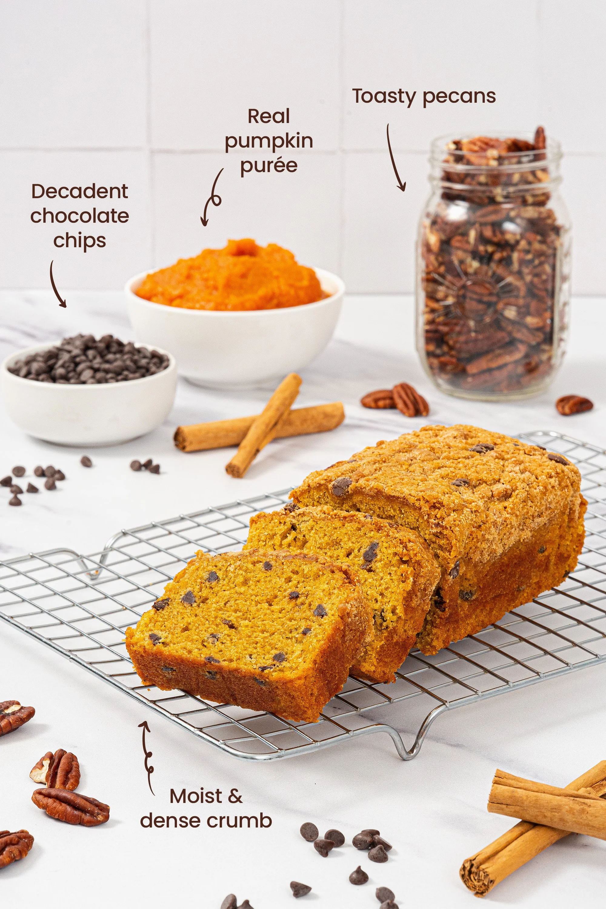 pumpkin_chocolate_chip_secondary_01.jpg