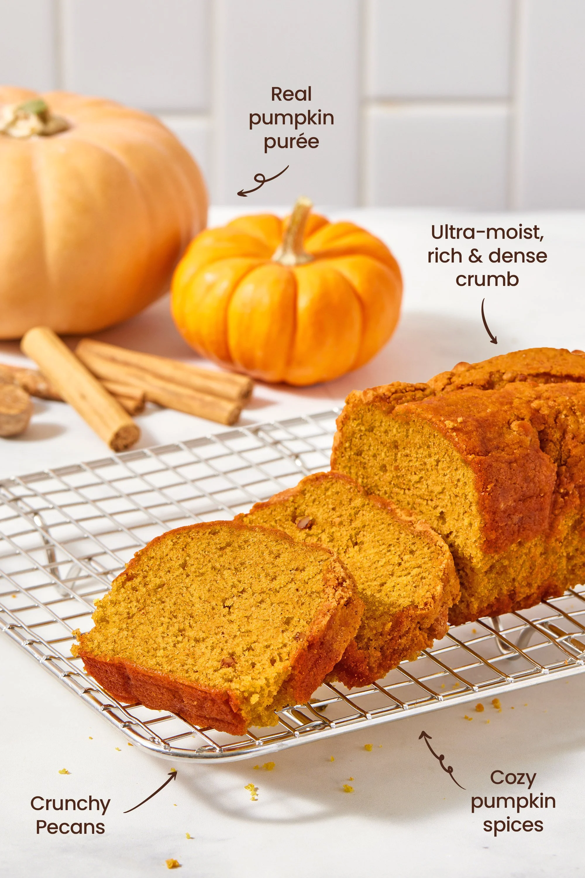 pumpkin_product_secondary_2026_00.jpg