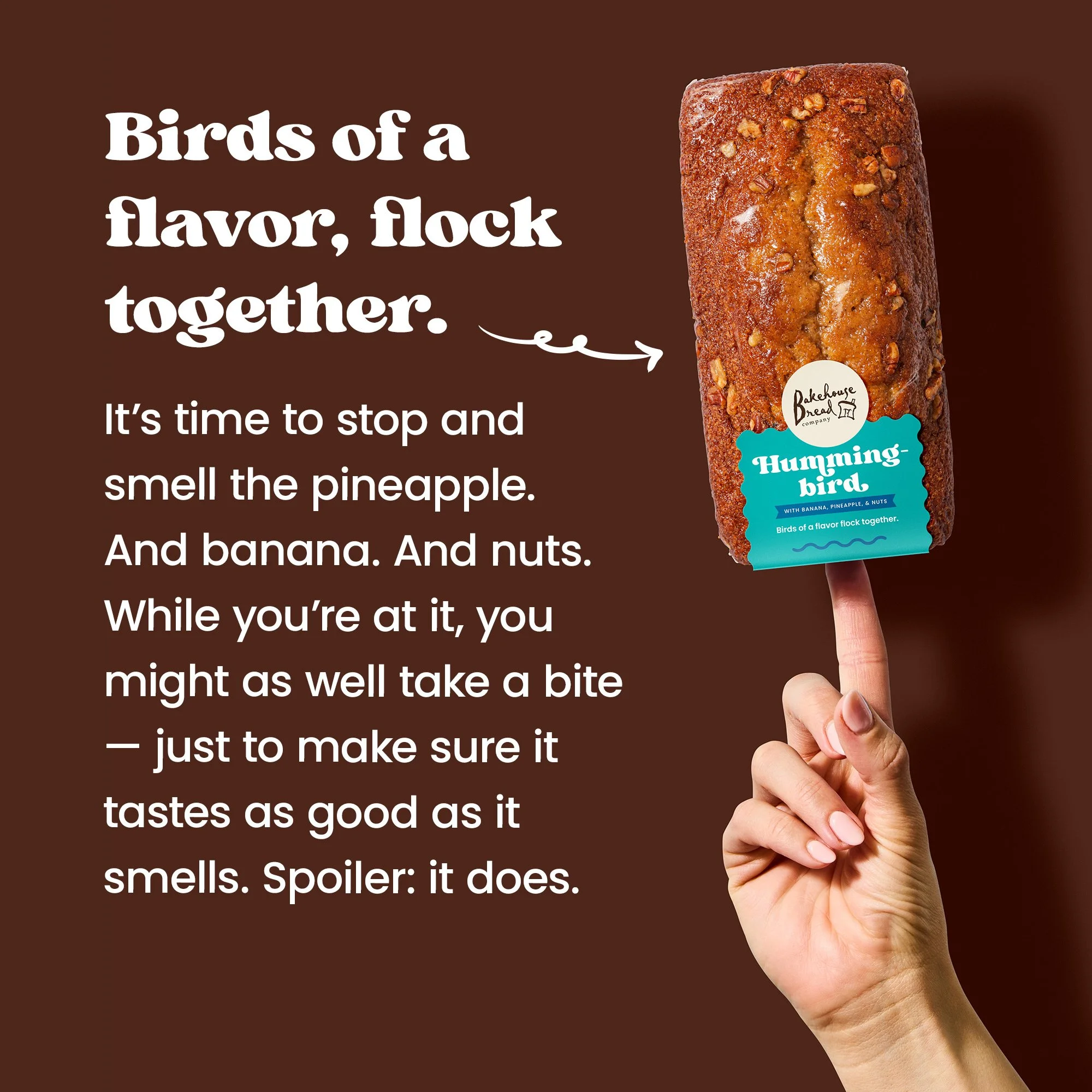 amazon_carousel_hummingbird_04B.jpg