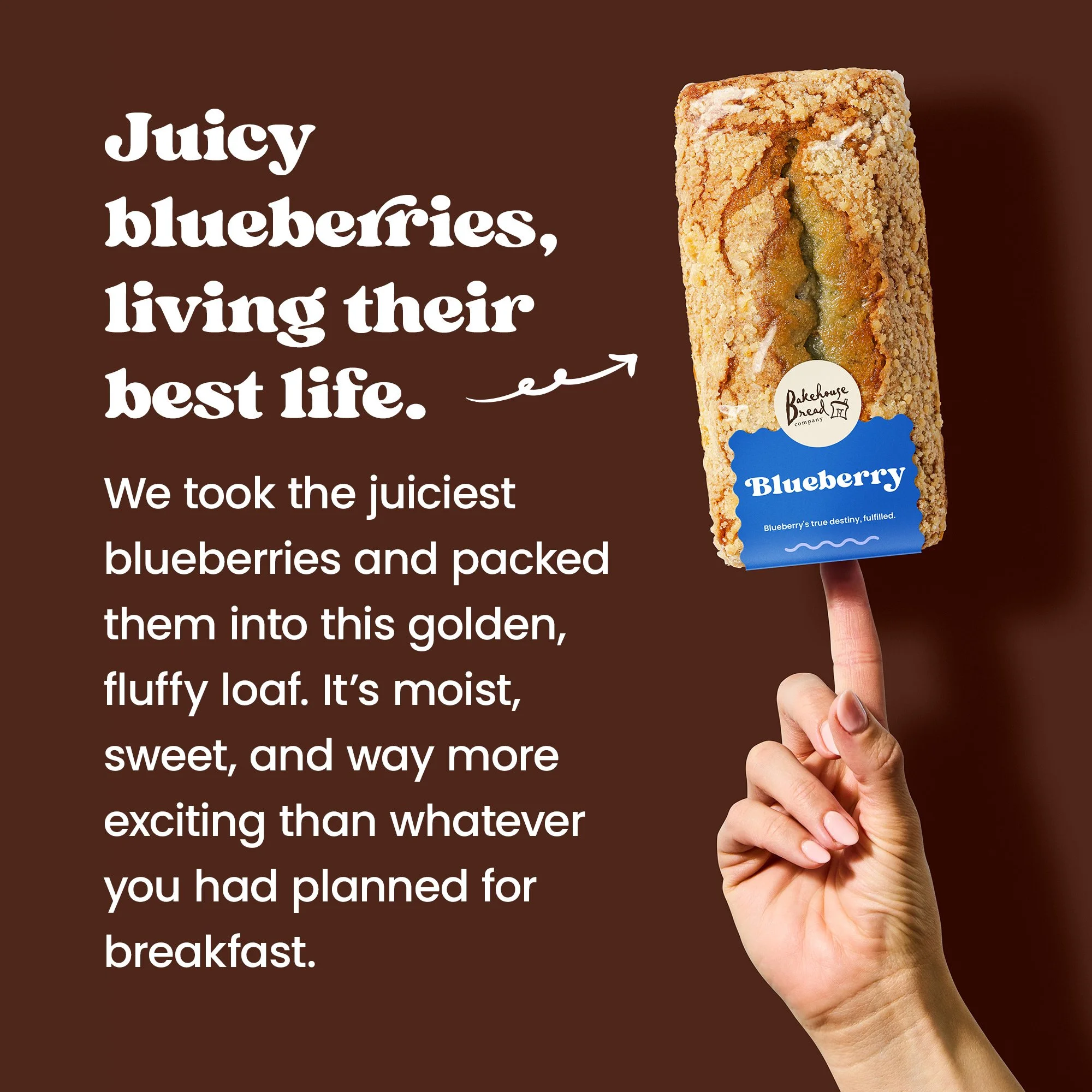 amazon_carousel_blueberry_04B.jpg