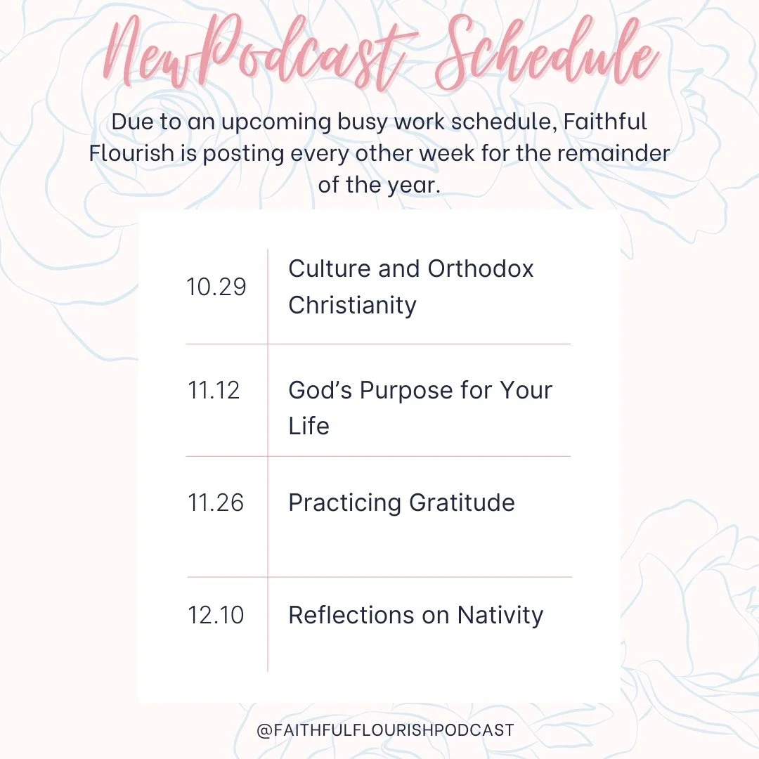 As the end of the year approaches, it is now my busy season with work. The Open Enrollment Period begins November 1st, and I work long hours to help my clients enroll in health insurance for the upcoming year. 

Because of this, I won't be able to gi