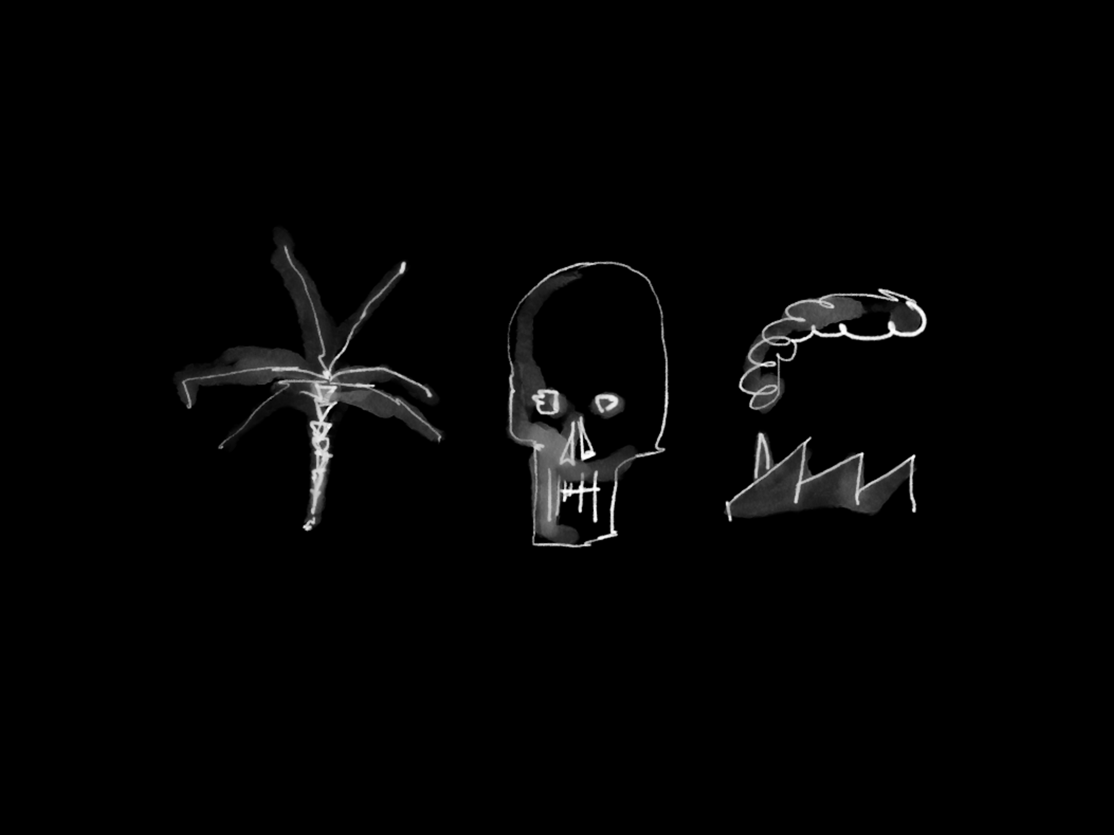 The Death of the Warsaw Palm