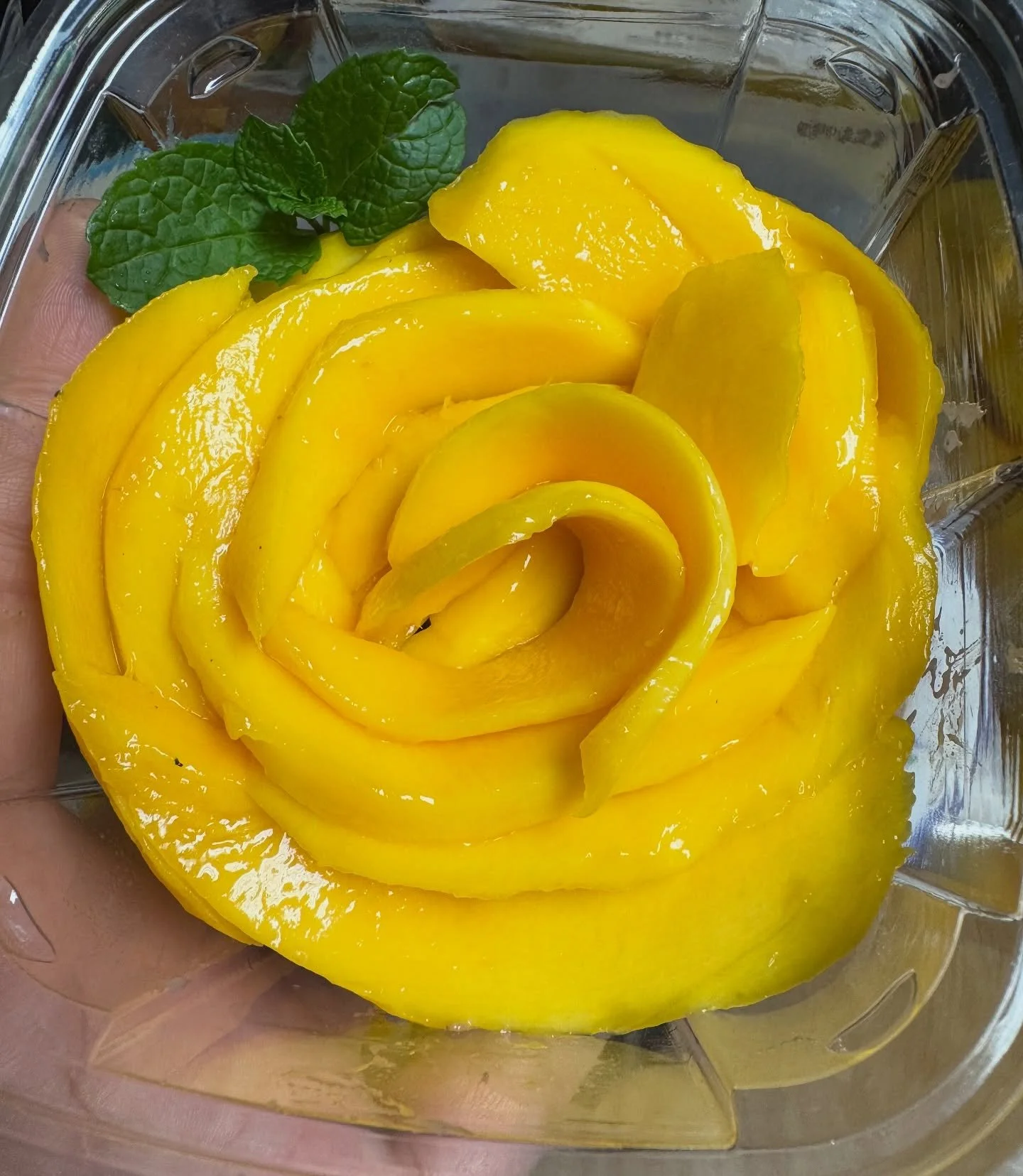 🥭 It&rsquo;s rare&hellip; but it&rsquo;s happening again!
Our beloved Mango Sticky Rice has been off the menu for a while, sweet mangoes are hard to find off-season. 
But lucky us, we just got some beautiful ones all the way from Florida from our de