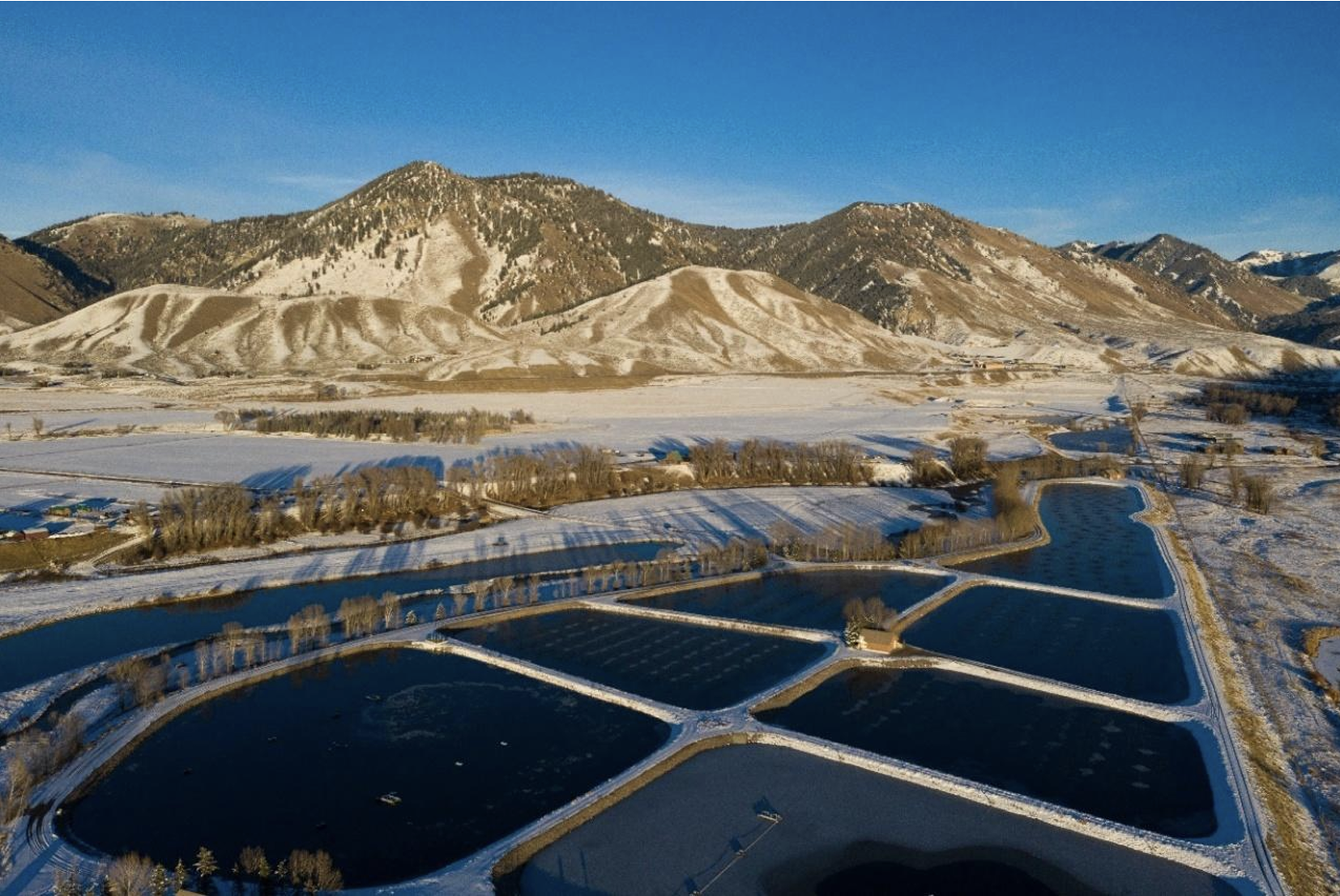 The Town’s Sewage Plant, Adjoining Wetlands, &amp; Surface Water Quality