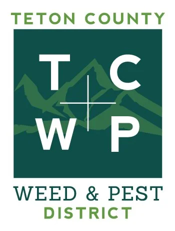 TCWP-slack-dkgrn_logo.jpg