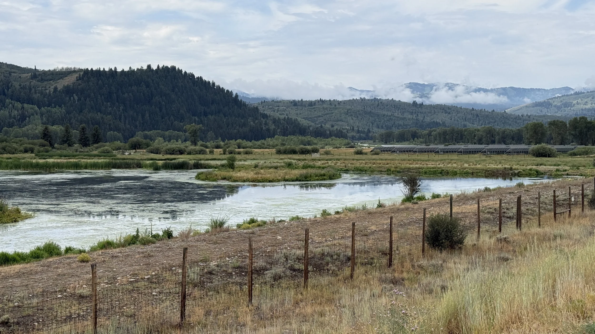 Buffer Zones &amp; Sewer Access, Major Water Quality Wins