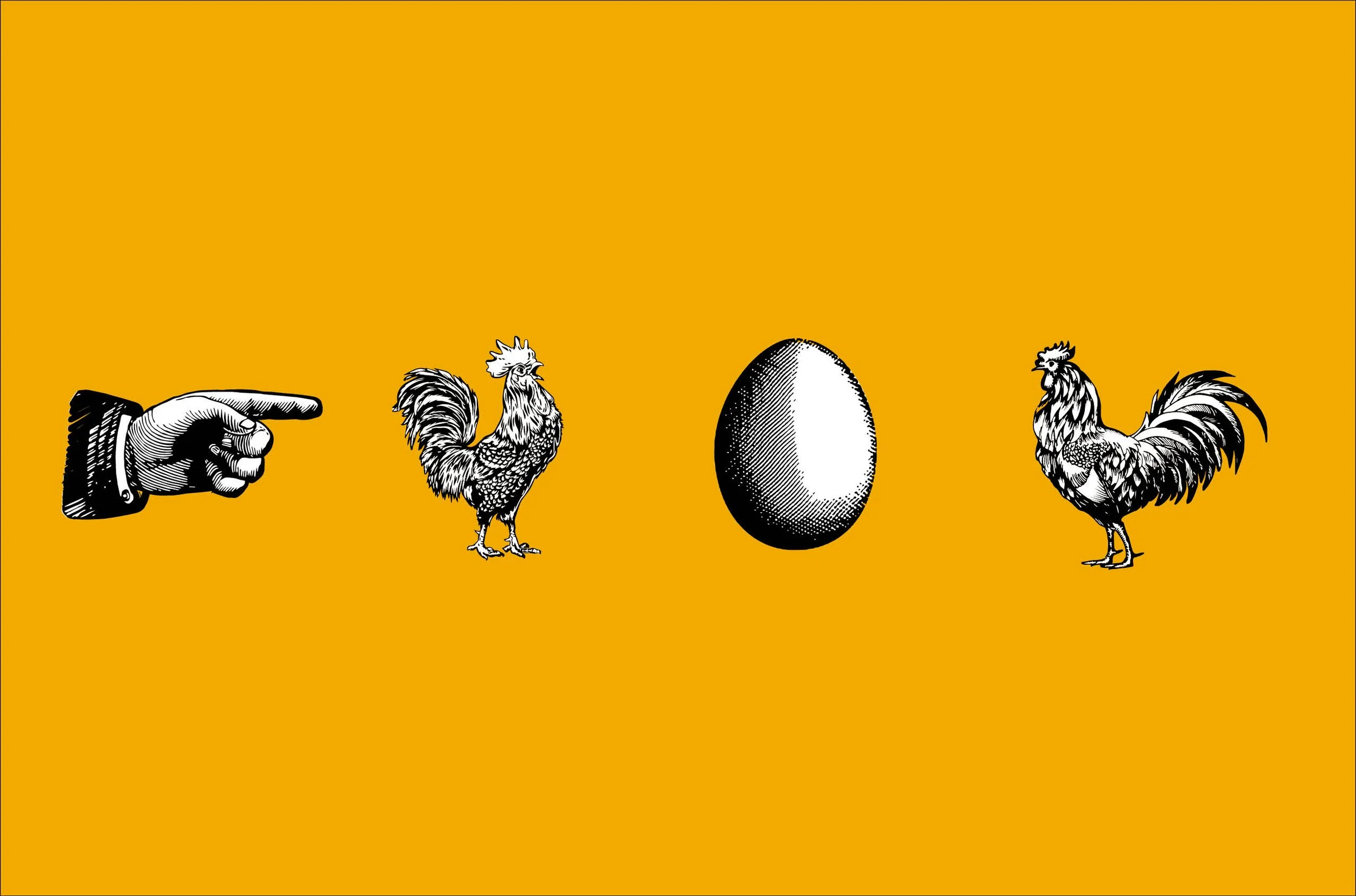 Eggy Case study 20254.jpg