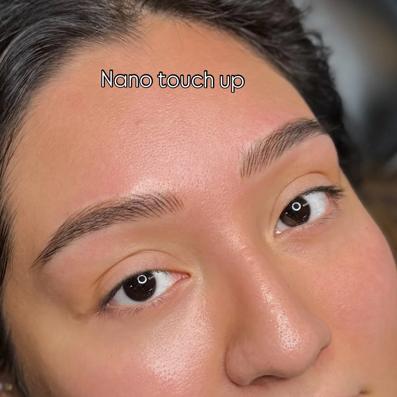 Touch up appts are some of my favorite. We go over healed results and adjust so we get our long lasting, natural brows for the next few years 🤩 #nanobrows #tinleyparknanobrows #nwinanobrows