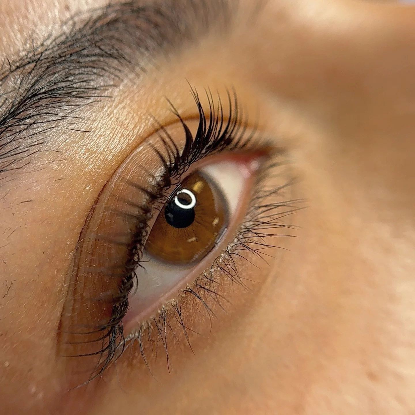 You know what compliments honey brown eyes? A lifted, dark korean lash lift 🤩 @bufflashes @buffbrowz  book yours now or message me for training details. Only 30min away from Chicago #chicagokoreanlashlift #koreanlashlift