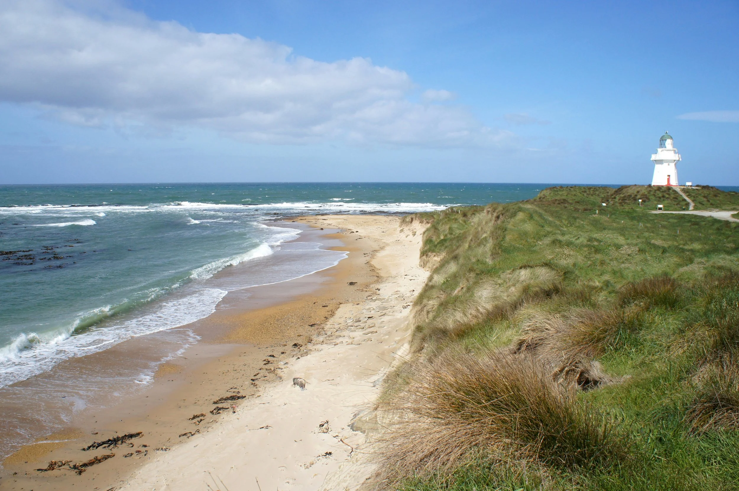 lighthouse on a beach by the ocean at waipapa point the catlins new zealand