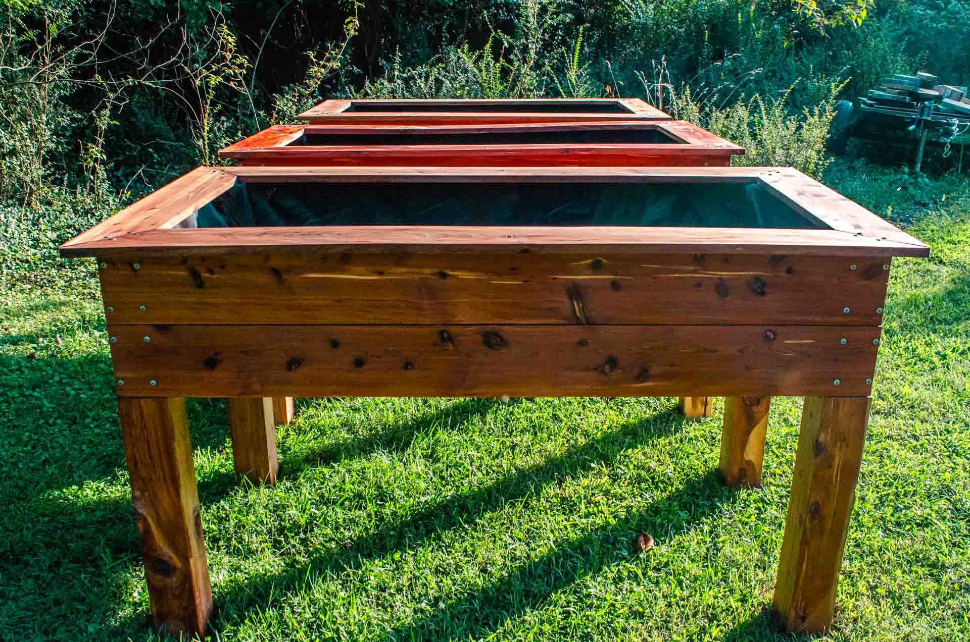 A series of raised beds is the best kind of salad bar.