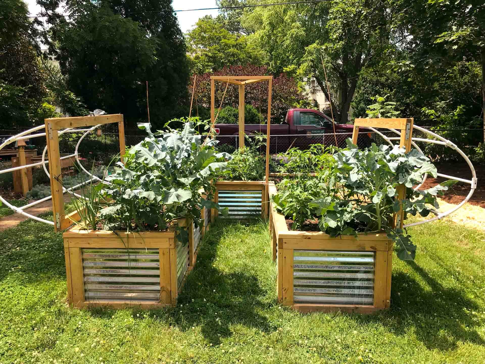Our raised beds are built with gardening in all seasons in mind.