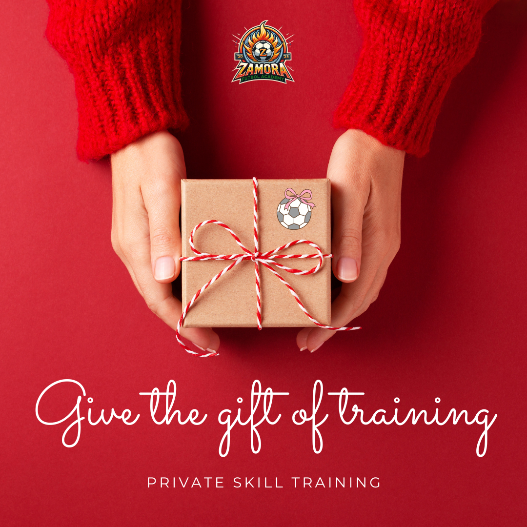 Private Soccer Training