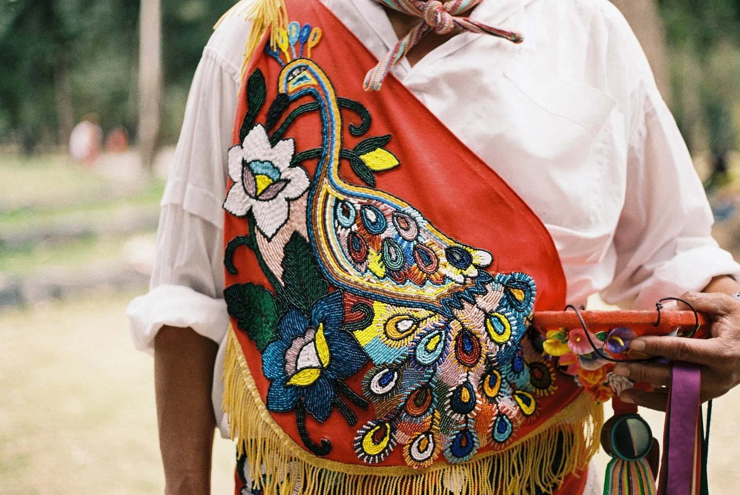 new matria experiences to be released this month&hellip; can u guess where we&rsquo;re going next? 

email subscribers always get first dibs 🙂&zwj;&harr;️ link in bio!