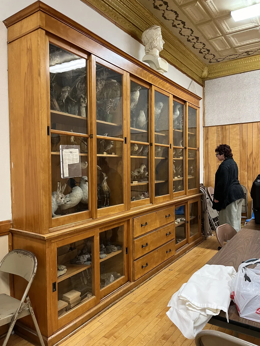 Examining the entire collection before developing a plan for testing and handling.