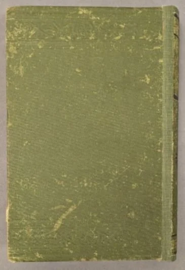 Bloss Reader After Treatment - Back