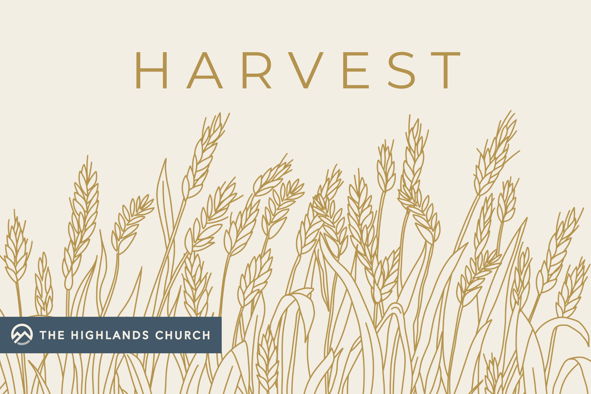 Questions you might be asking